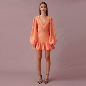 NWT Keepsake peach long sleeve trim mini dress